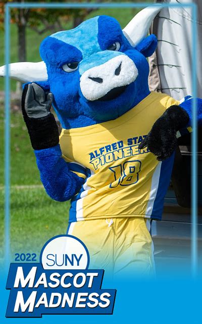 Suny mascot madness